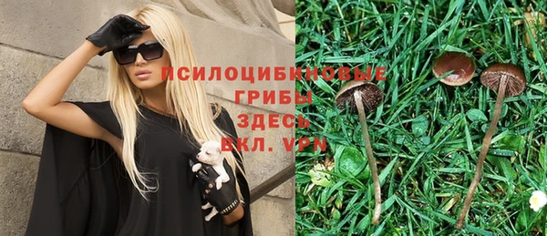 spice Балабаново