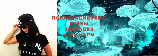 дживик Балахна