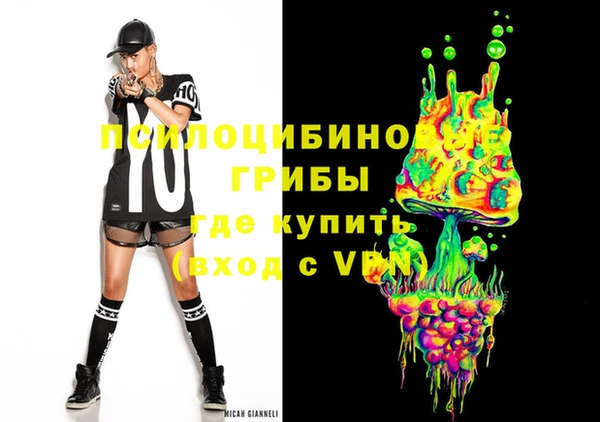 дживик Балахна