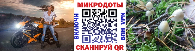 наркотики  Теберда  Псилоцибиновые грибы MAGIC MUSHROOMS 