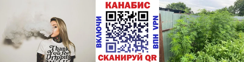 Бошки Шишки тримм  Теберда 